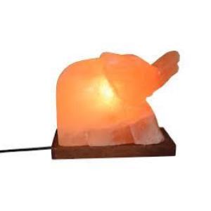 Lampada di Sale rosa dell'Himalaya Elefante