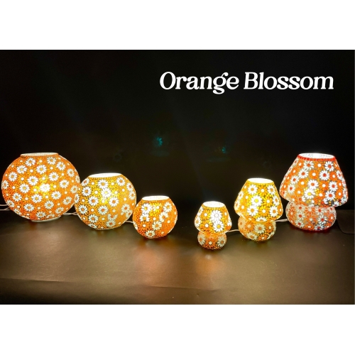 famiglia 17 - Orange Blossom