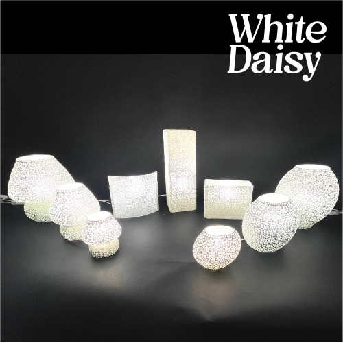 famiglia 02 - White Daisy