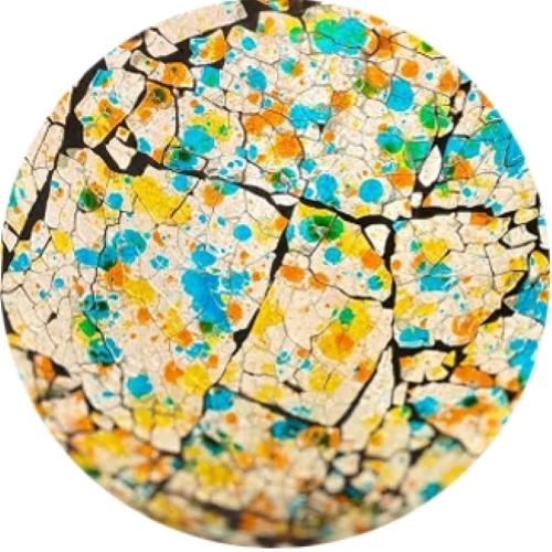 famiglia 25 - Mimosa Garden