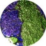 Lampada da tavolo in vetro mosaicata Green Bay h. 32 cm.