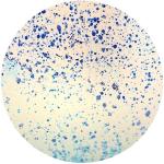 Lampada da tavolo in vetro dipinta Atlante h. 45 cm.