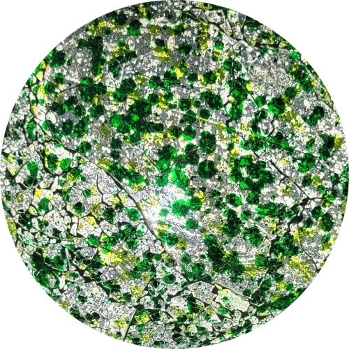 famiglia 41 - Forest Glow