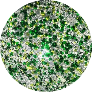 famiglia 41 - Forest Glow