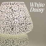 famiglia 02 - White Daisy